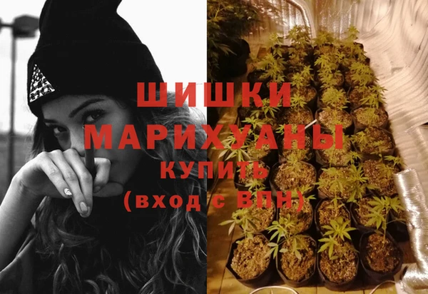 дживик Лабытнанги