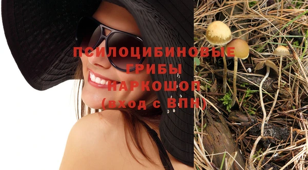 крисы Кукмор