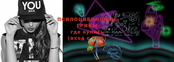 крисы Кукмор