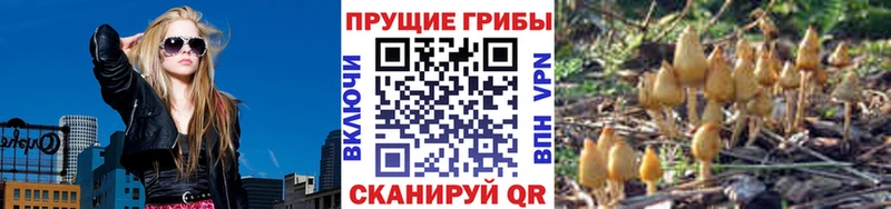 Галлюциногенные грибы прущие грибы  наркошоп  Южно-Сухокумск 